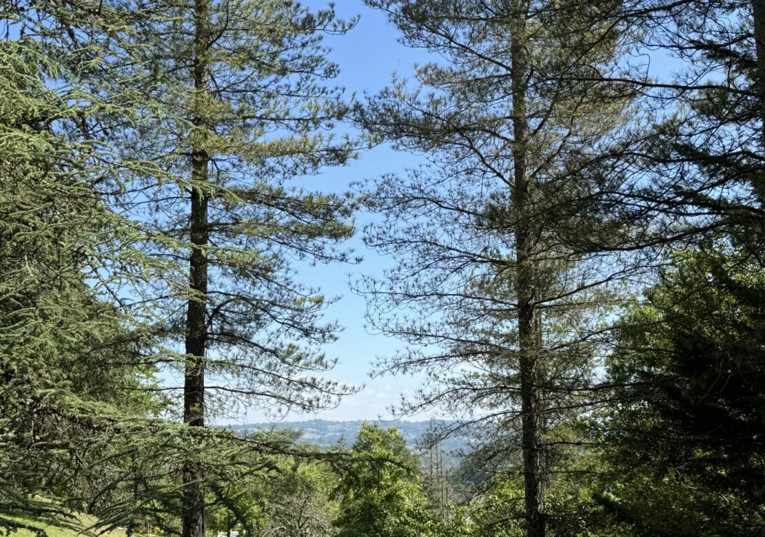 Gîte « Tennis » du Domaine de Mary