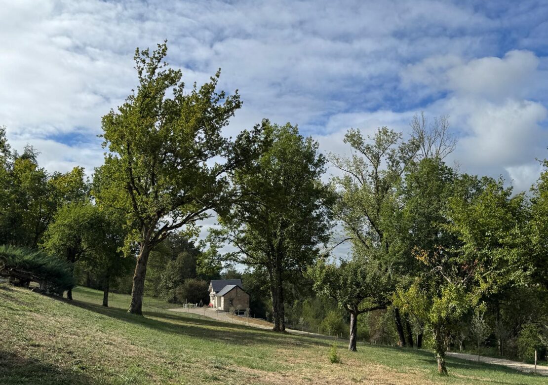 Gîte « Tiny House » du Domaine de Mary